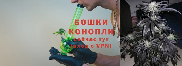 хмурый Бородино