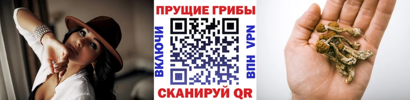 Галлюциногенные грибы Magic Shrooms купить Новозыбков