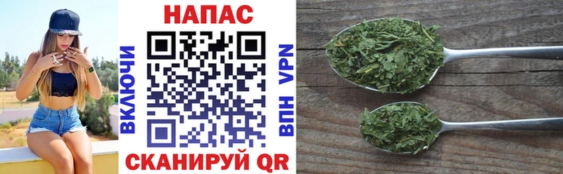 Каннабис Ganja  Новозыбков 